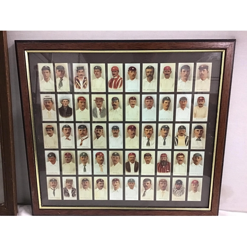 343 - 2 FRAMED CIGARETTE CARD COLLECTIONS