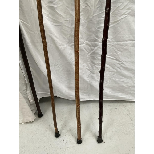 1 - 3 VINTAGE CARVED THUMB STICKS AND A SHEPHERDS CROOK  - H 53