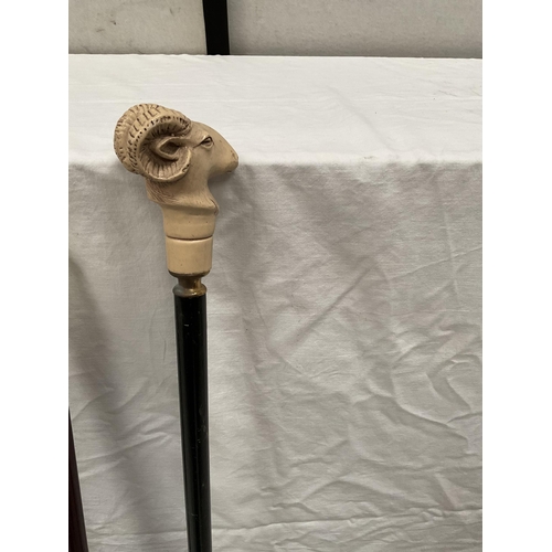 9 - 3 WALKING CANES WITH DECORATIVE CARVED HANDLES (RAMS HEAD, EROTIC, HORSES HEAD) - H 37