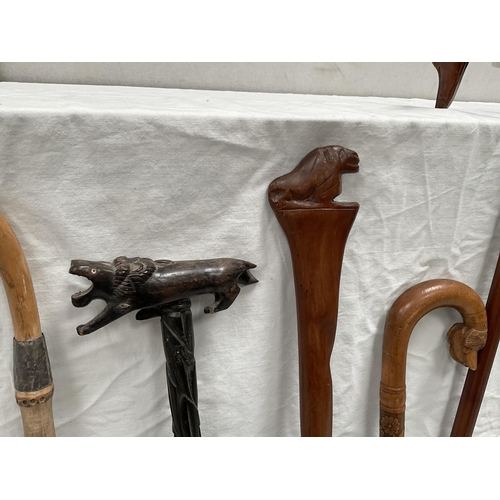 31 - QTY OF CARVED HANDLED WALKING STICKS
Longest 37