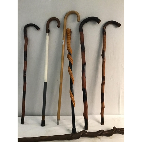 161 - COLLECTION OF WALKING STICKS