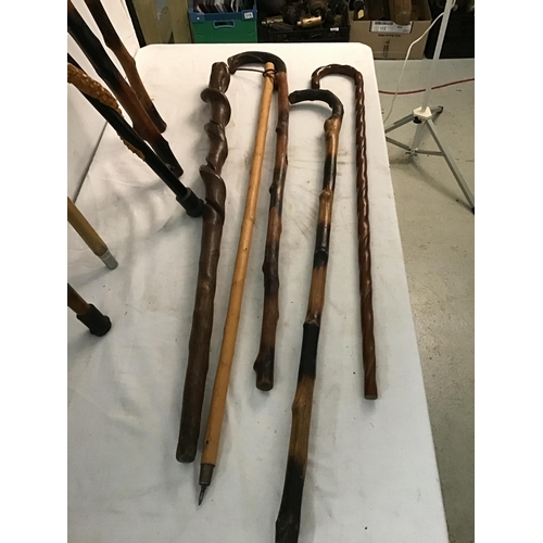 161 - COLLECTION OF WALKING STICKS