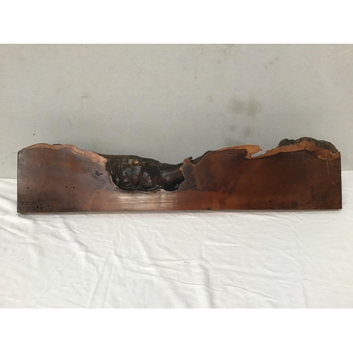 116 - YEW WOOD COAT RACK WITH CAST IRON COAT HOOKS FLANKED BY 2 BULLS HEADS W41