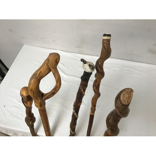 122 - QTY OF CARVED WALKING CANES - SMALLEST 47