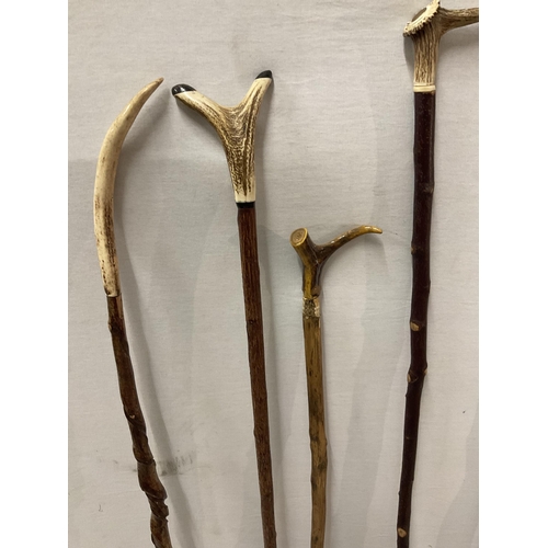 194 - QTY OF HORN HANDLED WALKING CANES