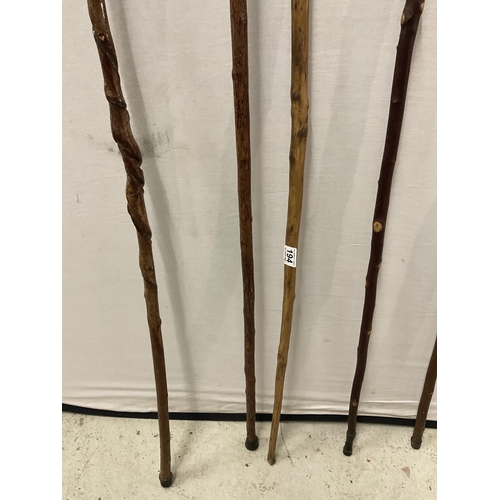 194 - QTY OF HORN HANDLED WALKING CANES