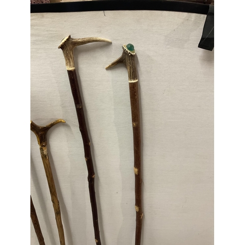 194 - QTY OF HORN HANDLED WALKING CANES