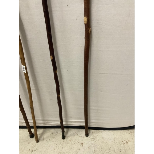 194 - QTY OF HORN HANDLED WALKING CANES