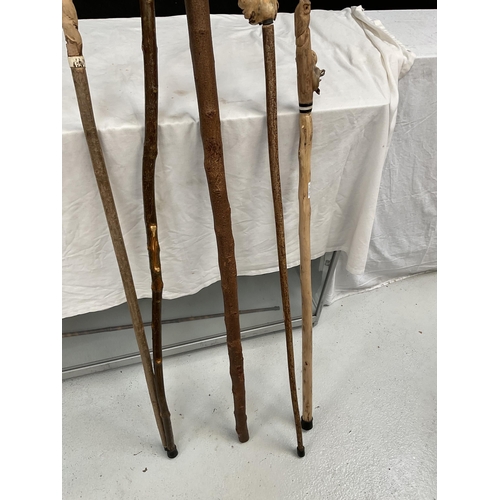 421 - QTY OF CARVED HANDLED WALKING CANES
LONGEST 60