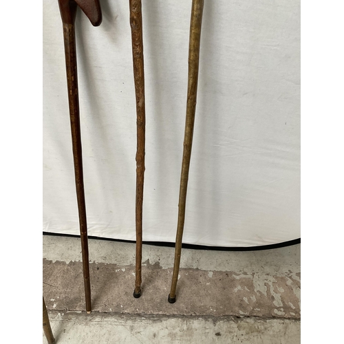 424 - QTY OF WALKING CANES WITH CARVED ANIMAL HEADS - LONGEST 59