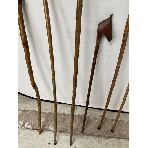 424 - QTY OF WALKING CANES WITH CARVED ANIMAL HEADS - LONGEST 59