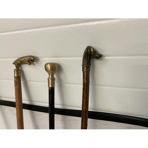 468 - 4 BRASS TOPPED WALKING CANES