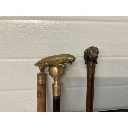 468 - 4 BRASS TOPPED WALKING CANES