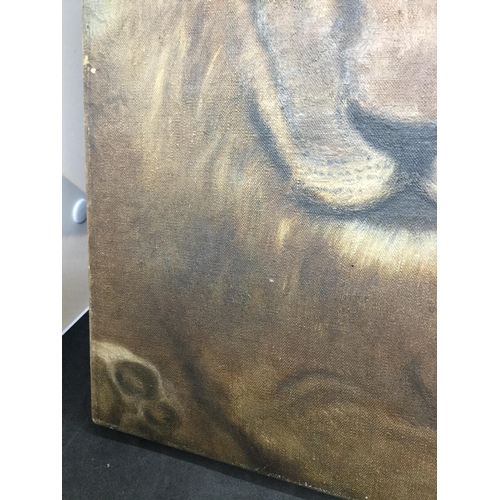 173 - UNFRAMED OILS ON CANVAS OF A LION - 14 X 10