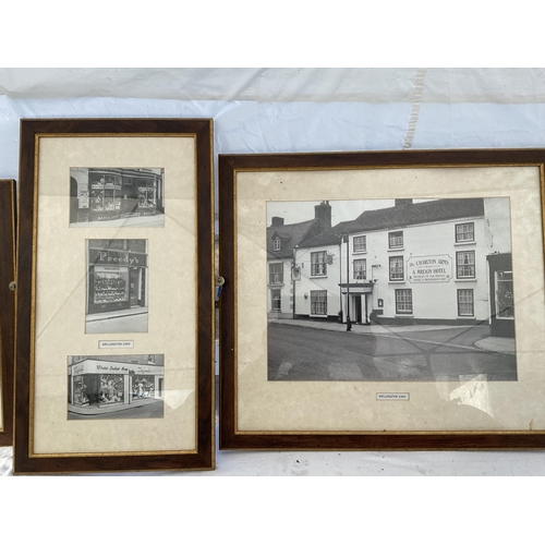 52 - 2 CRATES OF PICTURES TO INCLUDE QTY OF VIEWS OF TELFORD, 3 FEATHER BIRD PICTURES