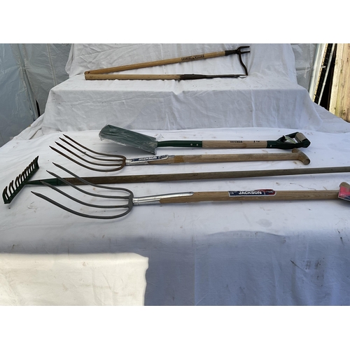 12 - QTY OF GARDENING TOOLS TO INCLUDE SPADE, FORKS, RAKES ETC