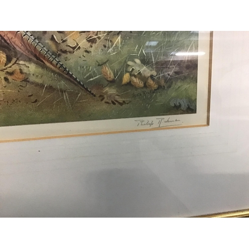 64 - PAIR OF FRAMED PHEASANT PICTURE,PENCIL SIGNATURE TO MARGIN, PHILLIP RICHMAN
26