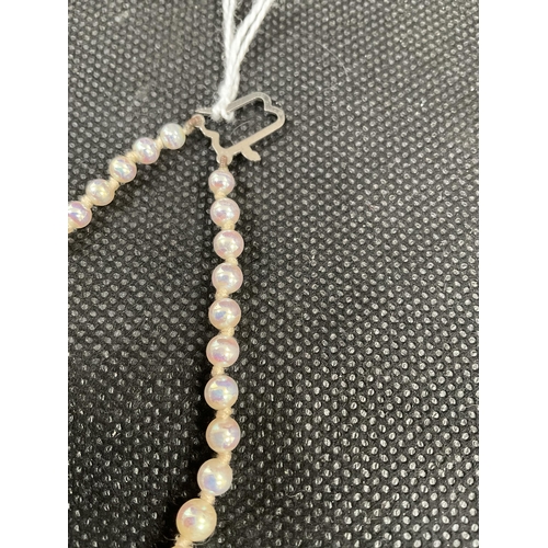 127 - DOUBLE STRAND OF PEARLS WITH FANCY WHITE METAL CLASP