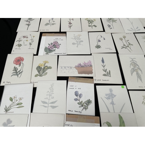 194 - QTY OF WATERCOLOUR PAINTINGS OF BOTANICAL SUBJECTS