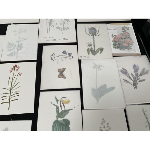 194 - QTY OF WATERCOLOUR PAINTINGS OF BOTANICAL SUBJECTS