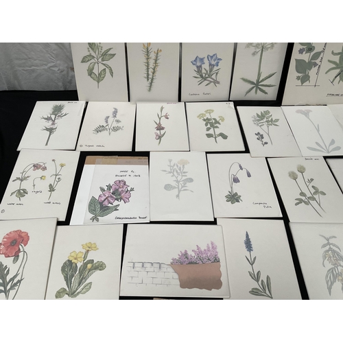 194 - QTY OF WATERCOLOUR PAINTINGS OF BOTANICAL SUBJECTS