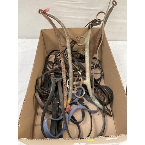 362 - QTY OF HORSE TACK TO INCLUDE AIMES AND A WHIP