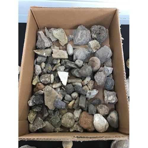 278 - BOX OF FOSSILS AND ROCK SAMPLES