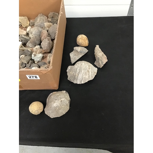 278 - BOX OF FOSSILS AND ROCK SAMPLES