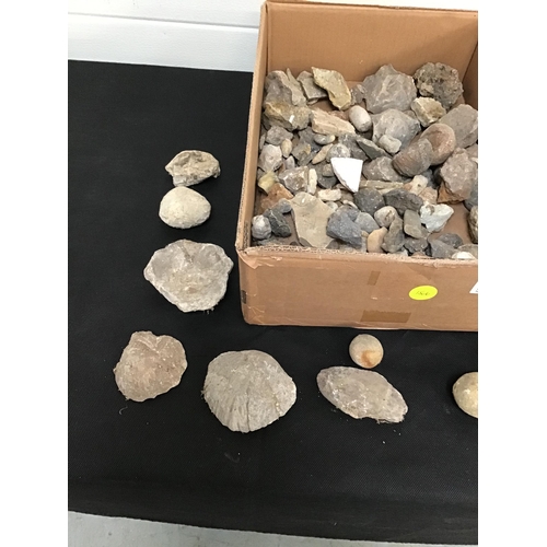 278 - BOX OF FOSSILS AND ROCK SAMPLES