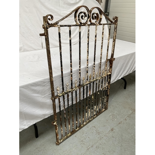 410 - ANTIQUE METAL GARDEN GATE WITH SCROLL WORK TOP H 51