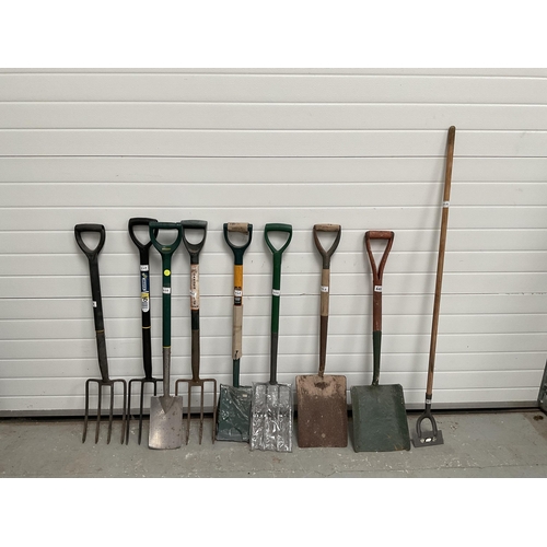 448 - QTY OF GARDEN FORKS AND SHOVELS