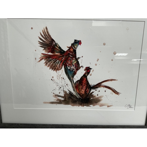 20 - SIGNED MEG HAWKINS FRAMED FIGHTING PHEASANTS PRINT - 22 X 18