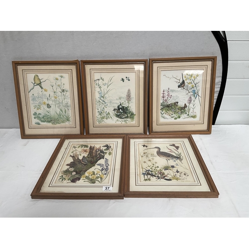 37 - BOX OF 5 MARJORIE BLAMEY BIRD PRINTS 14