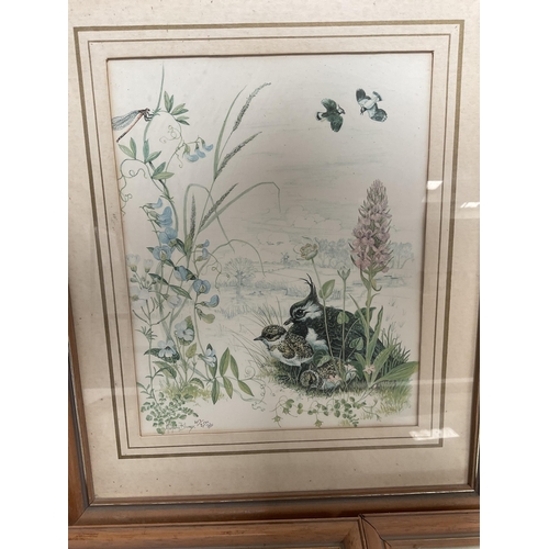 37 - BOX OF 5 MARJORIE BLAMEY BIRD PRINTS 14