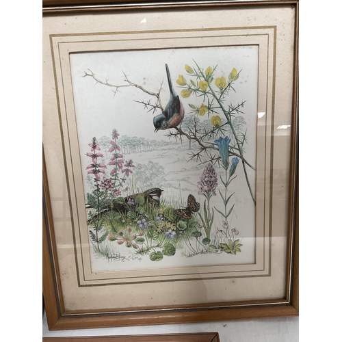 37 - BOX OF 5 MARJORIE BLAMEY BIRD PRINTS 14