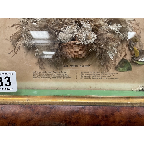 133 - 19TH CENTURY SEAWEED DIORAMA IN BURR MAPLE FRAME 14