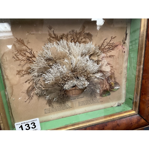 133 - 19TH CENTURY SEAWEED DIORAMA IN BURR MAPLE FRAME 14