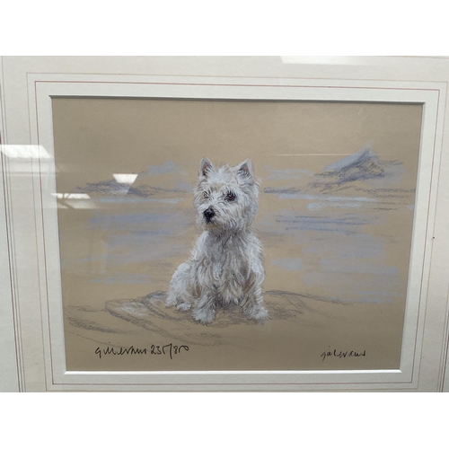 3 - GILT FRAMED LIMITED EDITION PRINT  ENTITLED WESTIE SITTING NO 235/850 SIGNED GILL EVANS 15