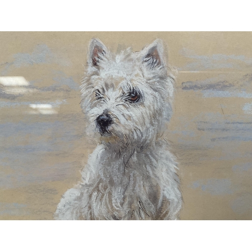 3 - GILT FRAMED LIMITED EDITION PRINT  ENTITLED WESTIE SITTING NO 235/850 SIGNED GILL EVANS 15