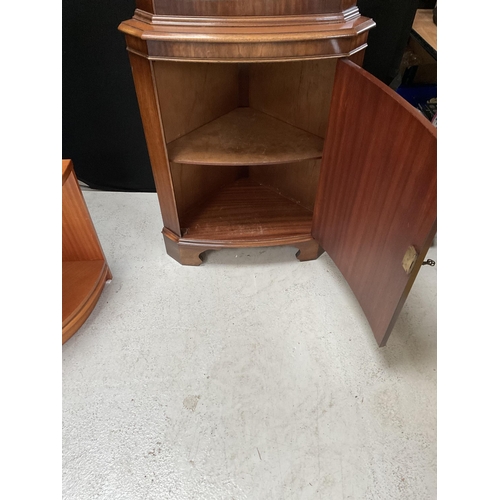 226 - REPRODUCTION CORNER CABINET WITH ASTRIGAL GLAZED TOP AND SINGLE DOOR TO BASE COMPLETE WITH KEY h71