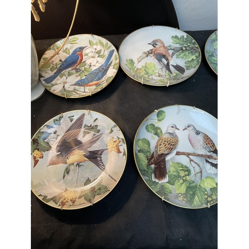 248 - BOX OF FRANKLIN MINT LIMOGES COLLECTORS PLATES (BIRDS) AND A CERAMIC TABLE LAMP & SHADE