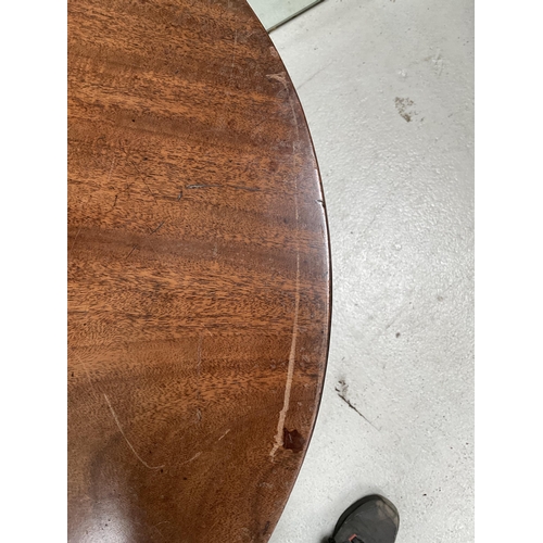 251 - GEORGIAN MAHOGANY PEDESTAL TRIPOD TIP TOP TABLE H28