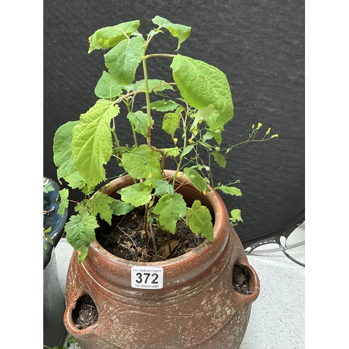 372 - BLUE GLAZED GARDEN PLANTER AND STRAWBERRY POT