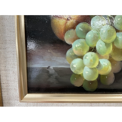 45 - MODERN FRAMED STILL FRUIT PRINT 15