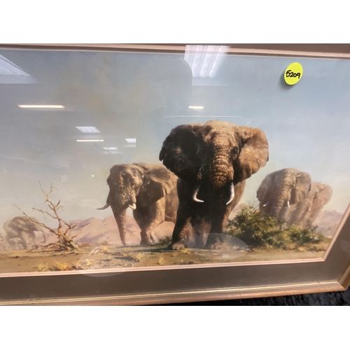 67 - DAVID SHEPHERD FRAMED PRINT  OF ELEPHANTS 24