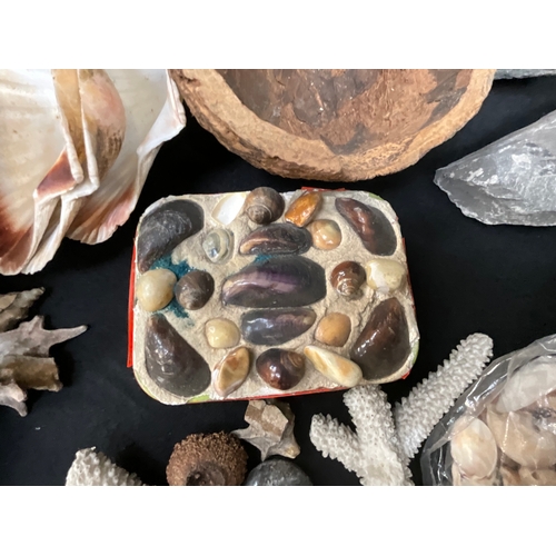 151 - BOXED COLLECTION SEA SHELLS, CORAL AND FOSSILS