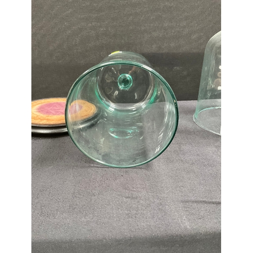 463 - 3 VICTORIAN GLASS DOMES AND 2 BASES
H16