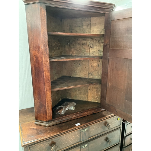 469 - GEORGIAN OAK WALL HANGING CORNER CABINET WITH 2 PANELS TO DOOR H40