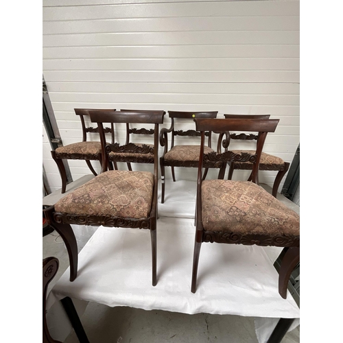 262 - 6 REGENCY MAHOGANY DINING CHAIRS - 5 DINERS 1 CARVER