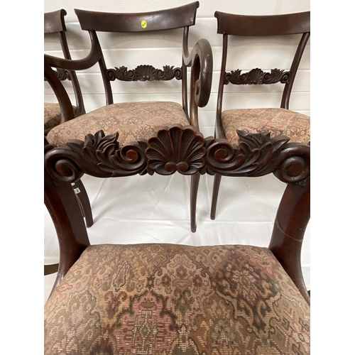 262 - 6 REGENCY MAHOGANY DINING CHAIRS - 5 DINERS 1 CARVER